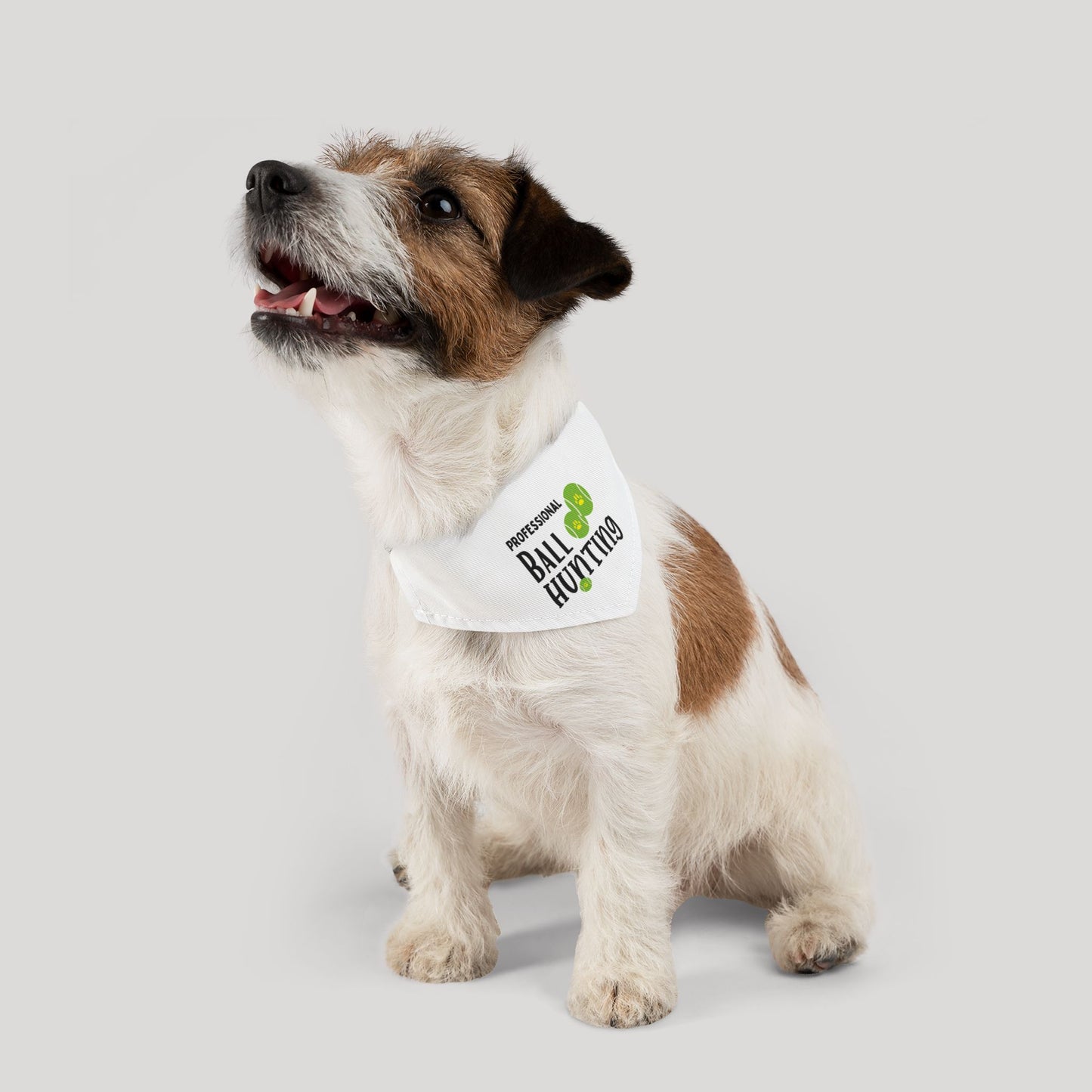 Professional Ball Bandana Collar