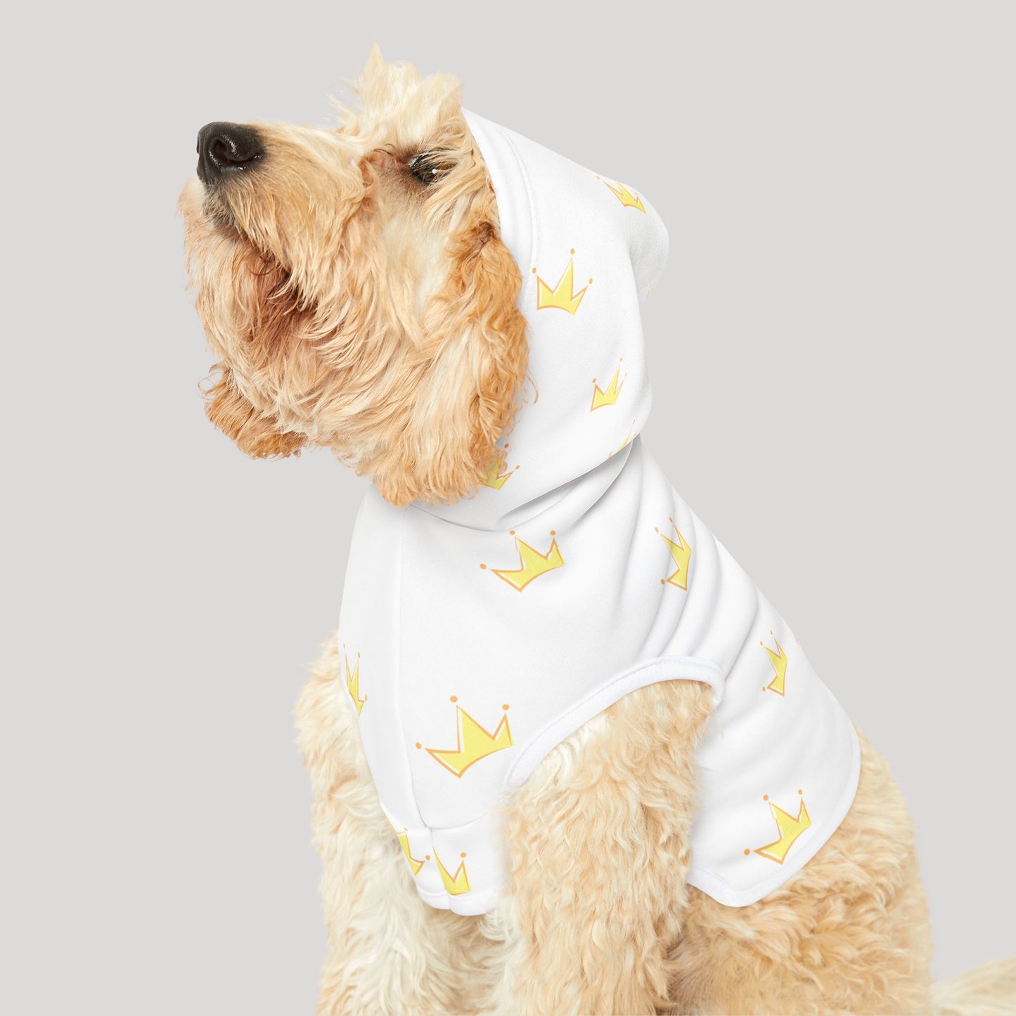 Pet Hoodie