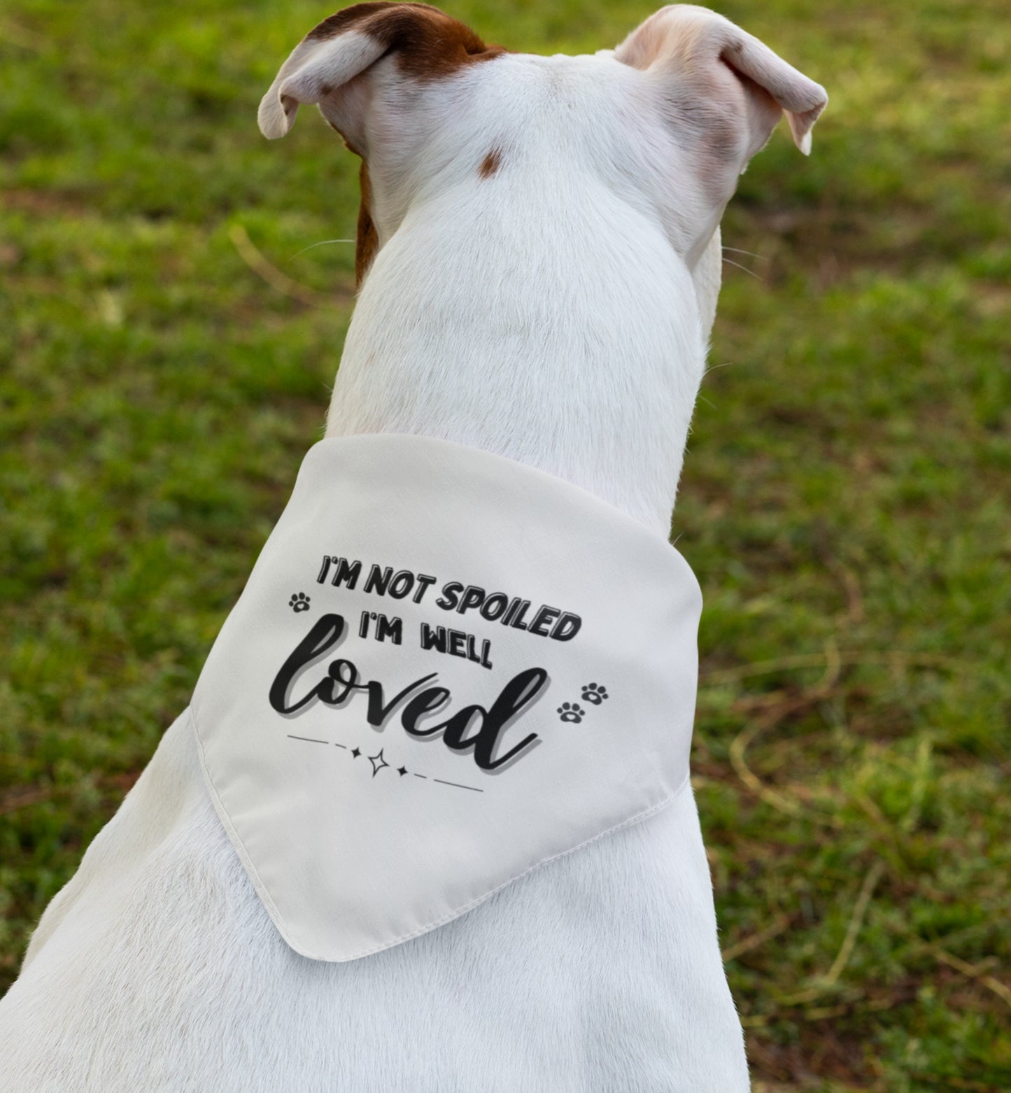 Pet Bandana Collar
