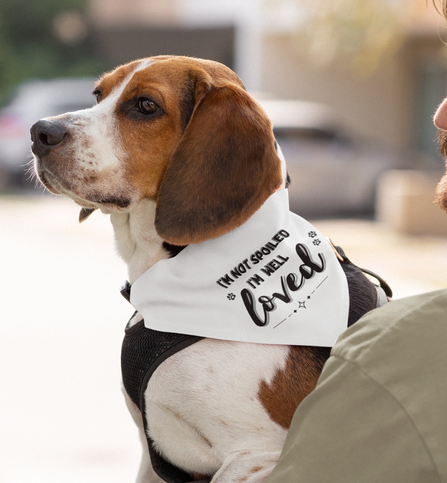 Pet Bandana Collar