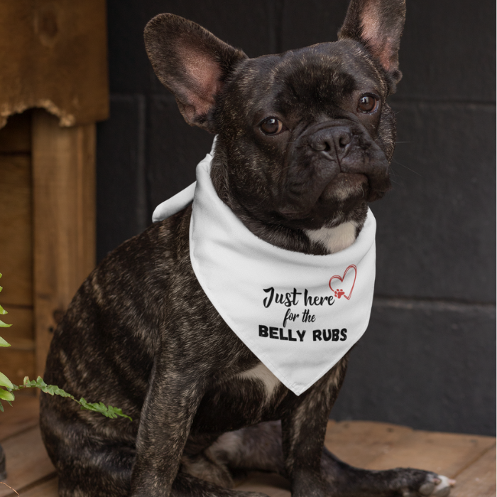 Pet Bandana