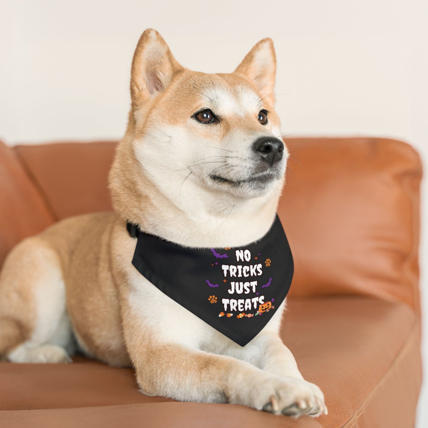 No Trick Pet Bandana