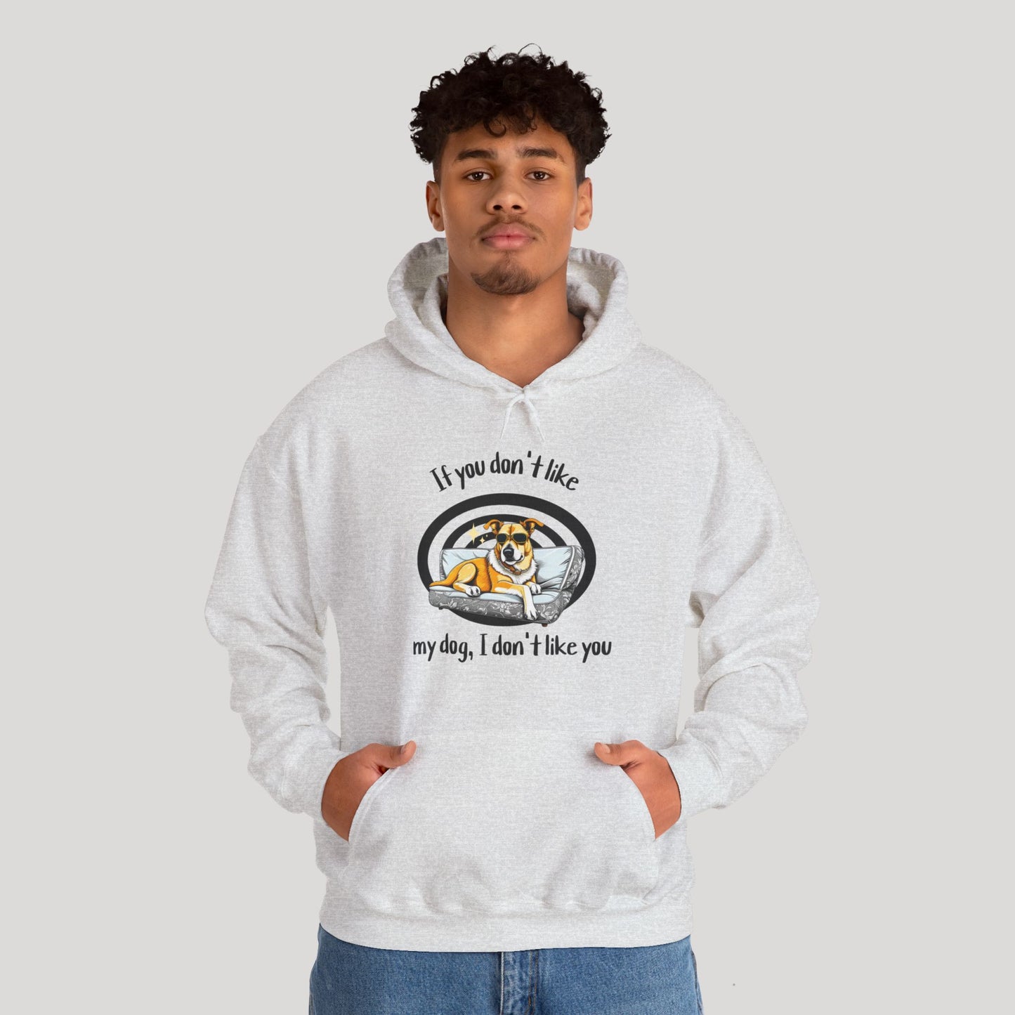 I Don't Like You Hoodie