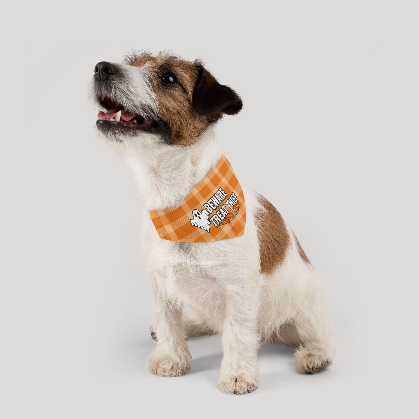 Treat Thief Pet Bandana Collar