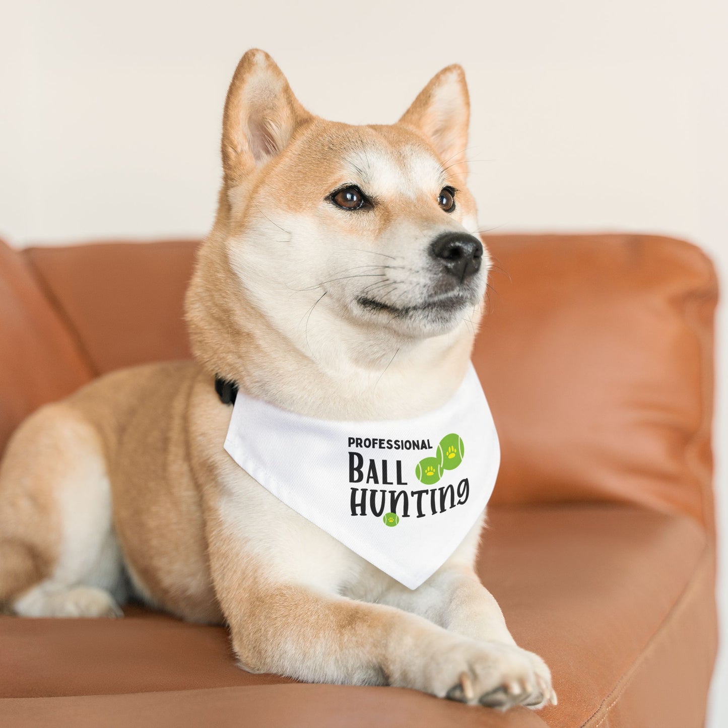 Professional Ball Bandana Collar