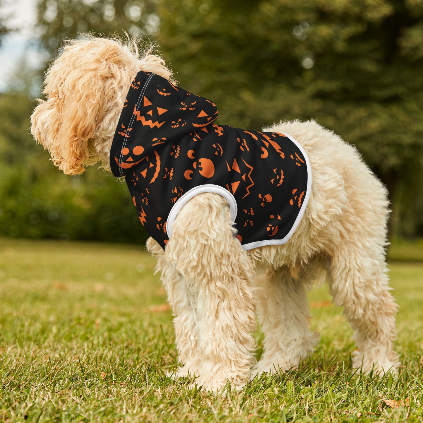 Halloween Pet Hoodie