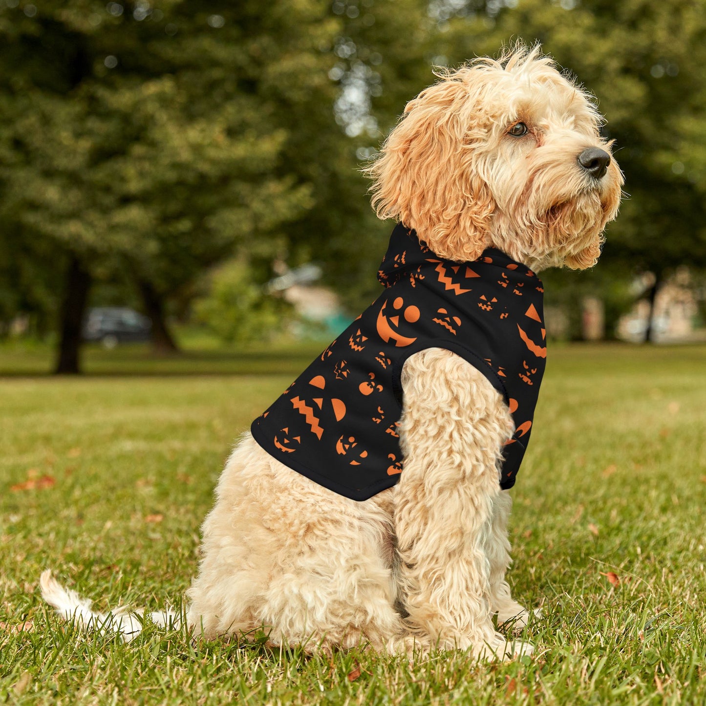 Halloween Pet Hoodie
