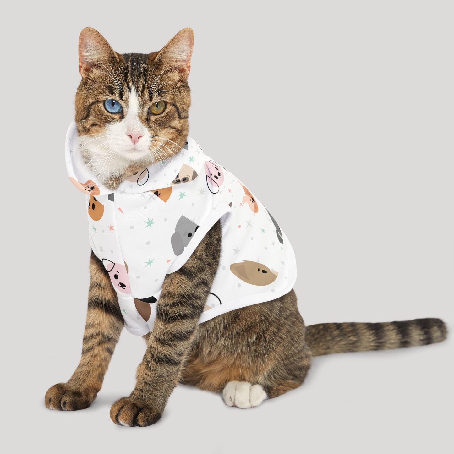 Pet Hoodie