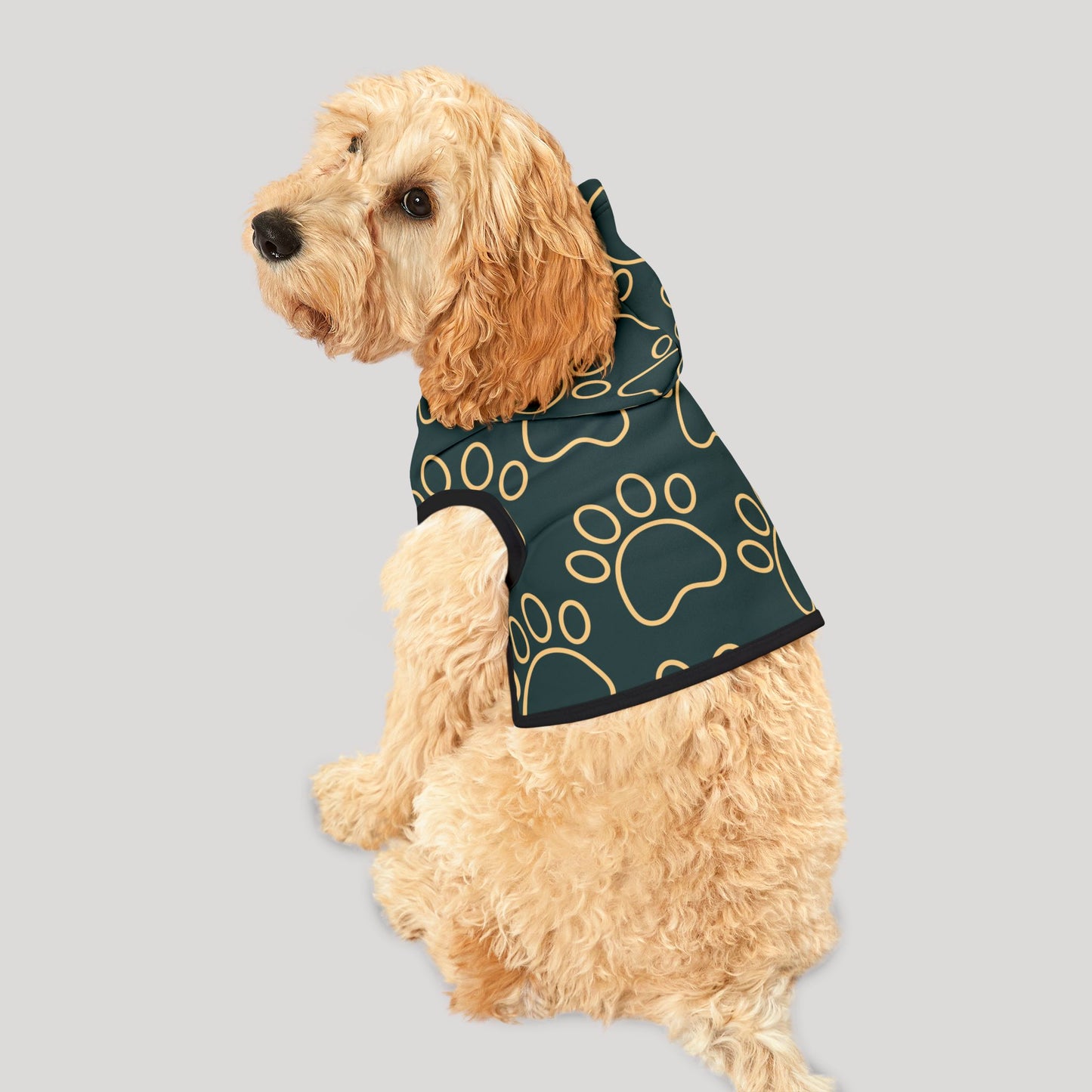 Pet Hoodie