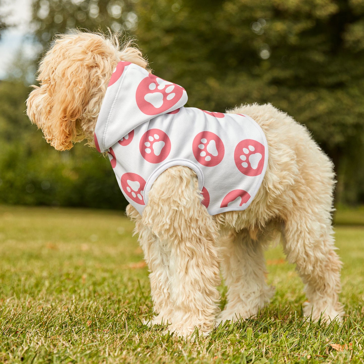 Paws Hoodie