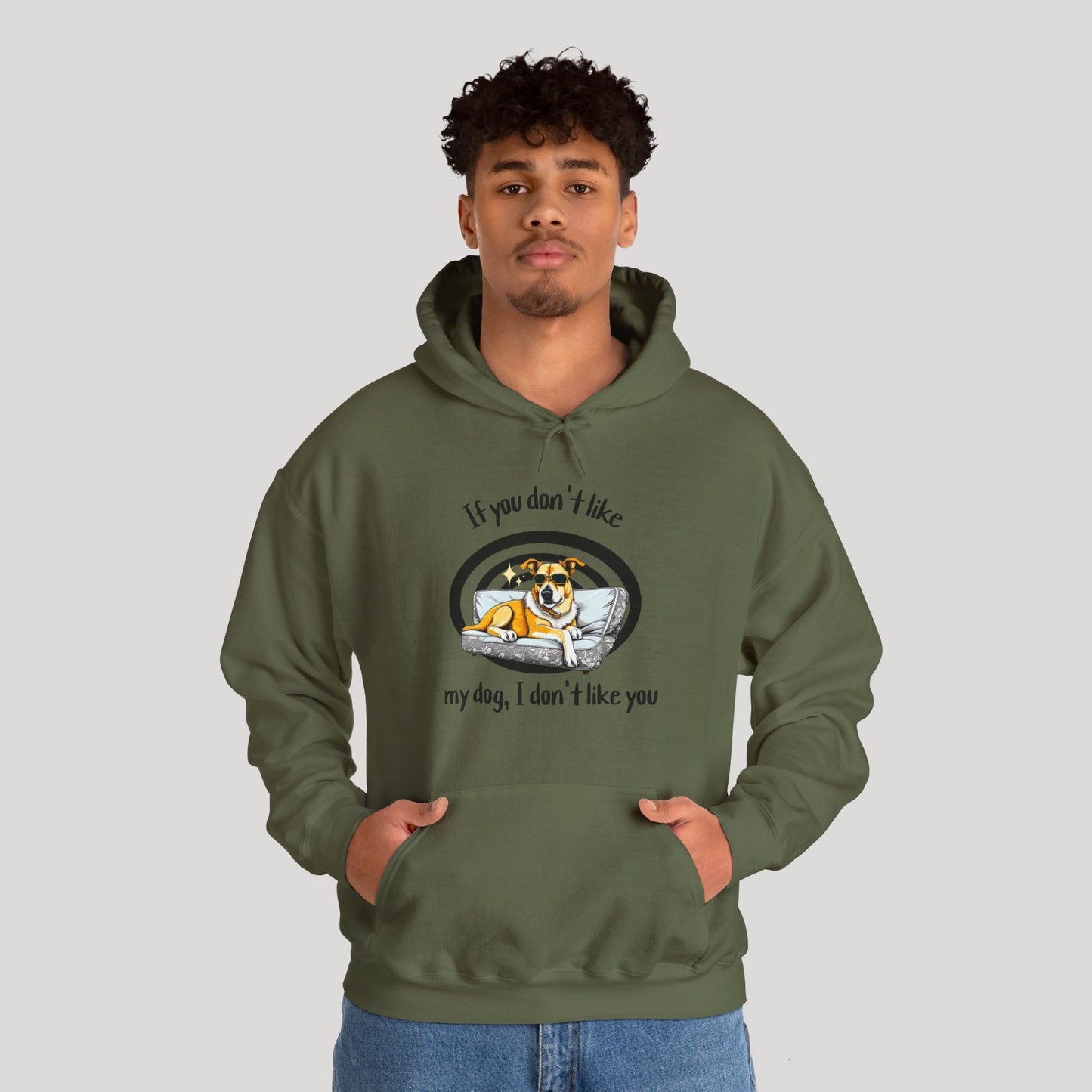 I Don't Like You Hoodie