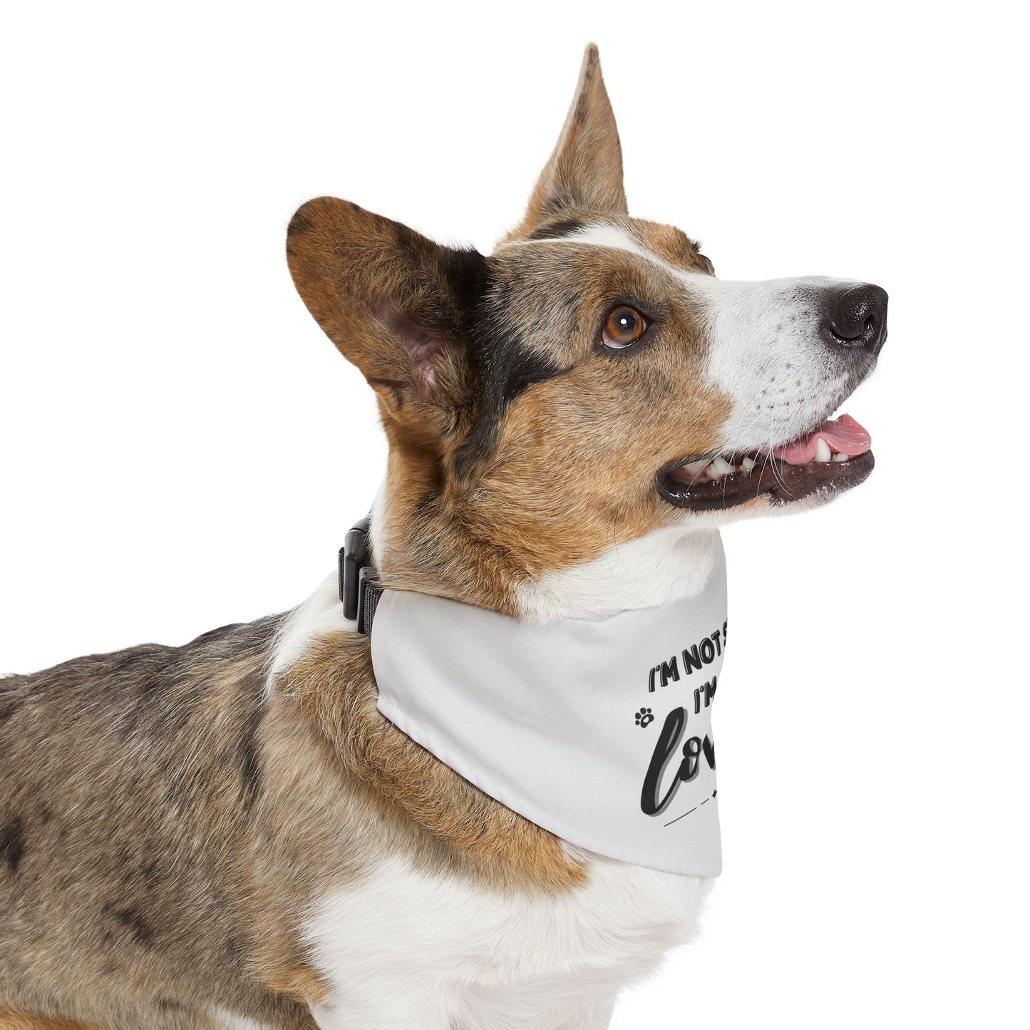 Pet Bandana Collar