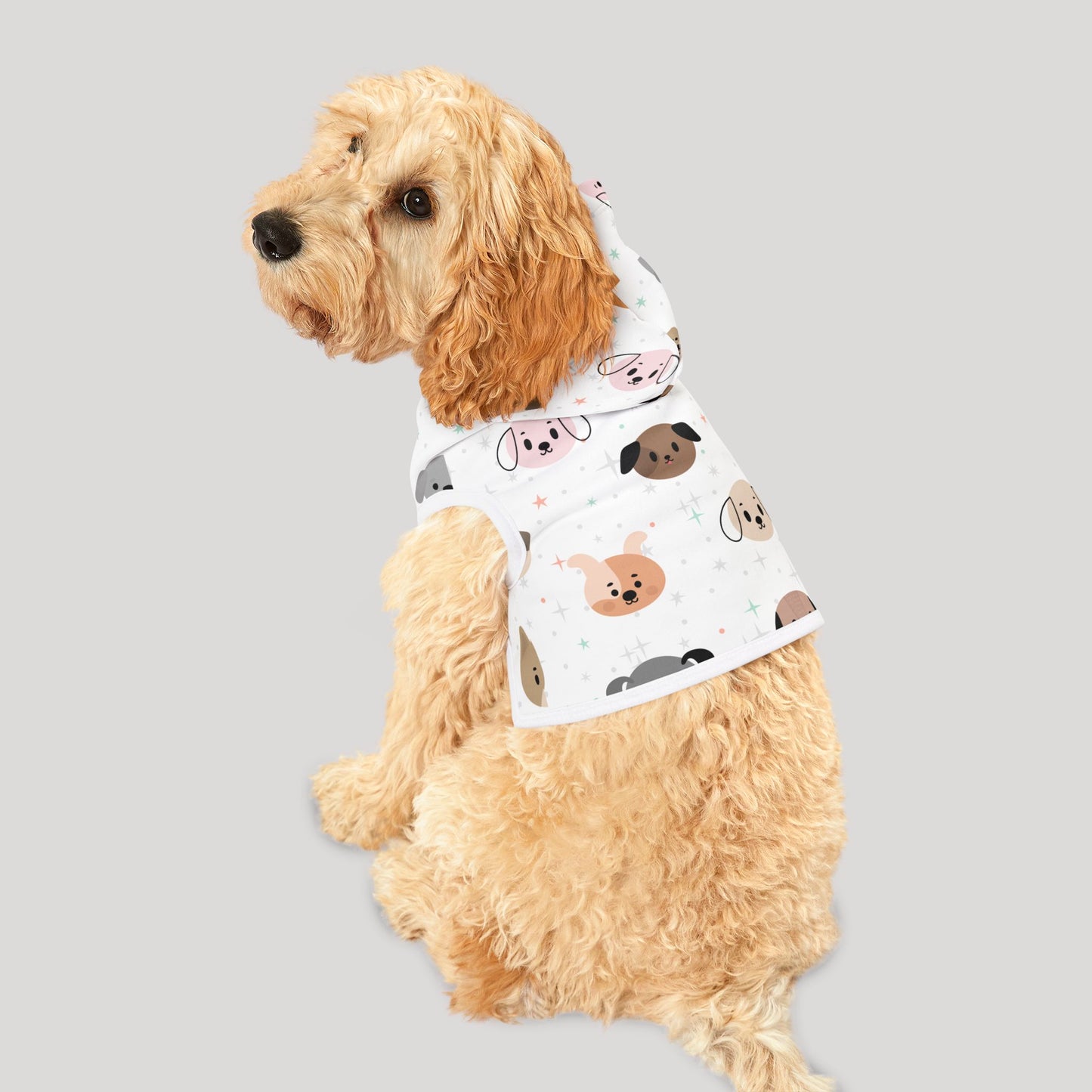 Pet Hoodie