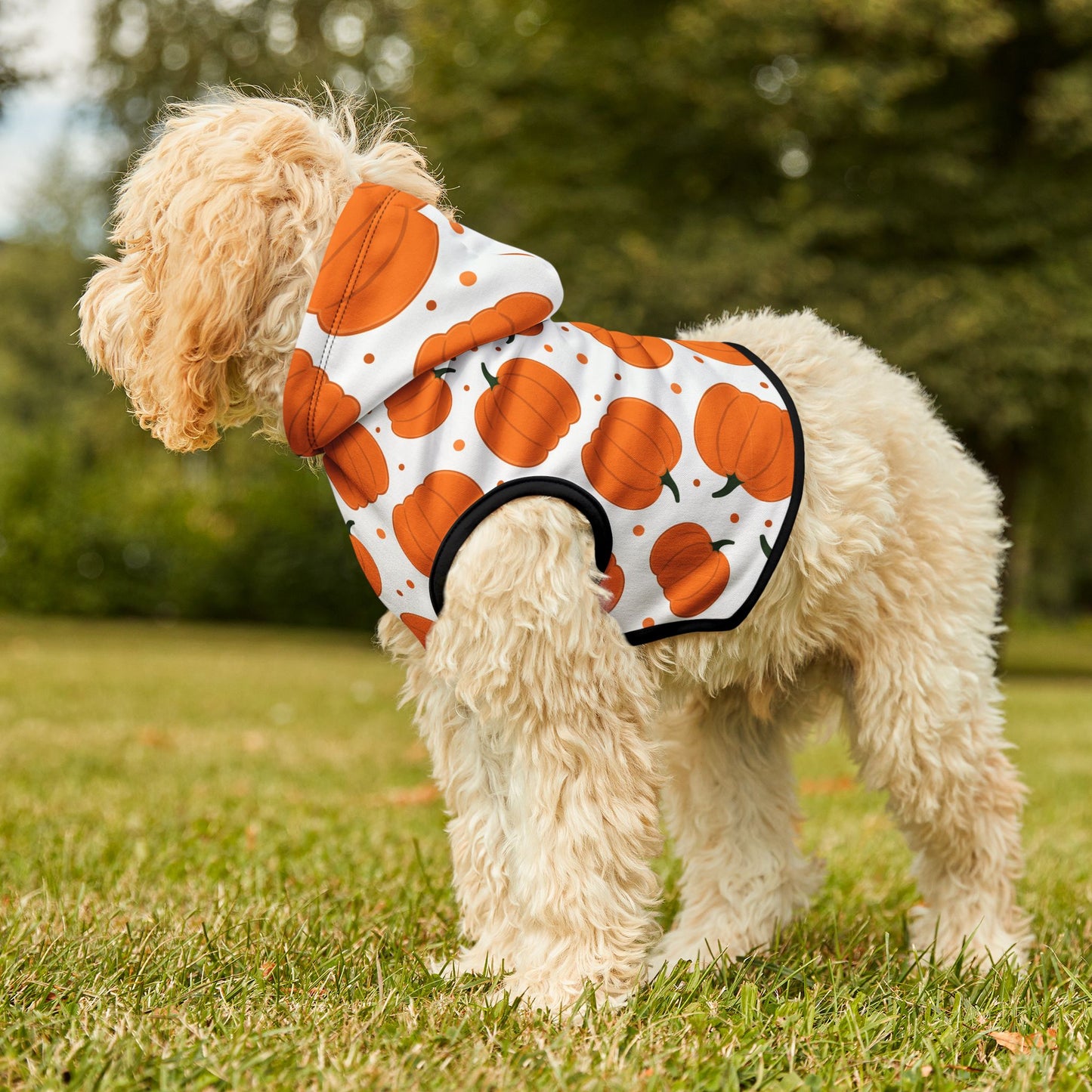 Pumpkin Pet Hoodie