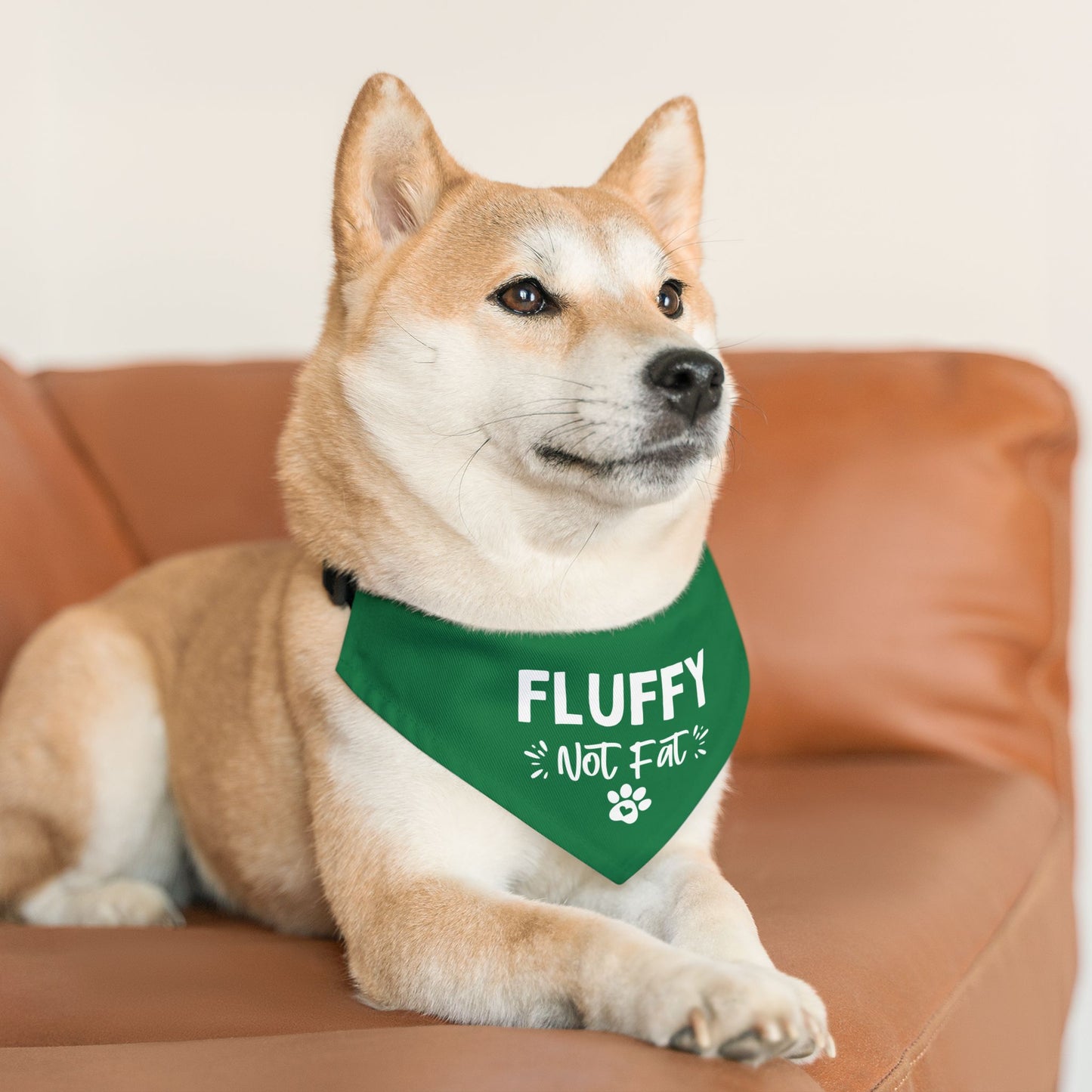 Fluffy Bandana Collar