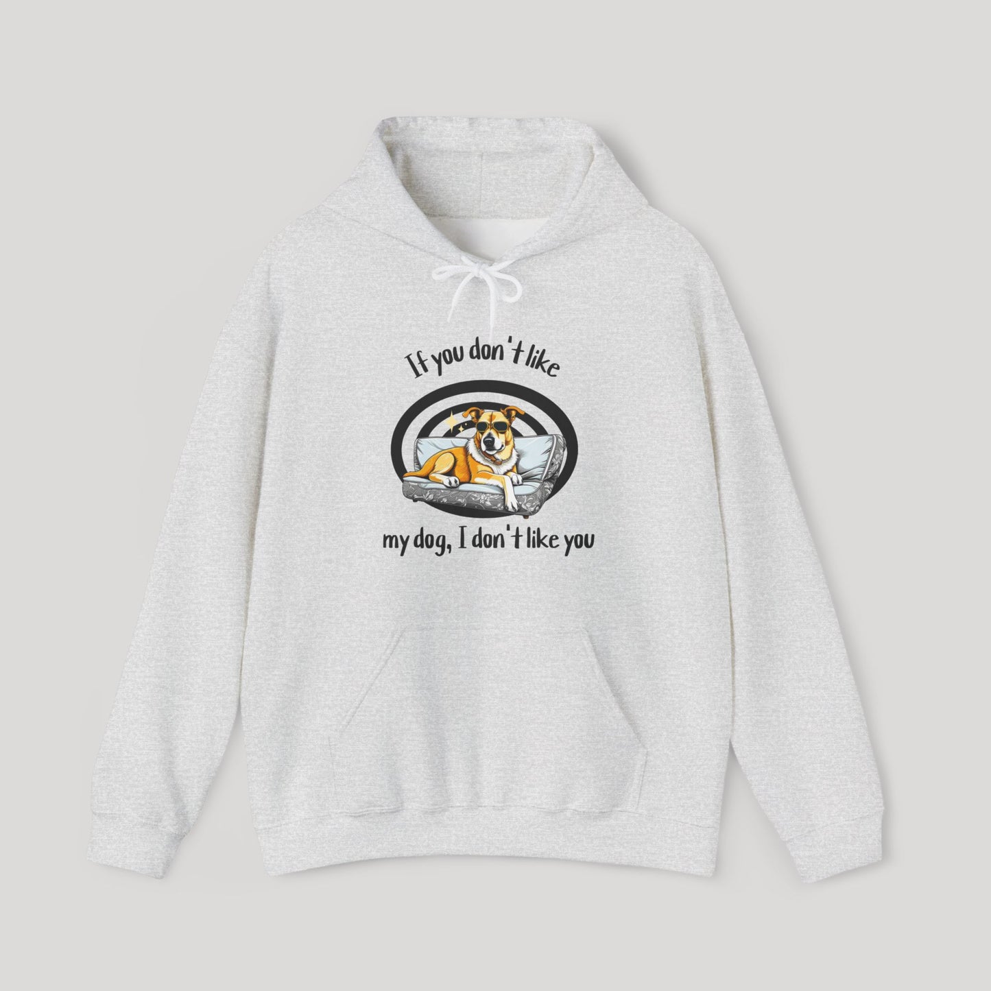 I Don't Like You Hoodie