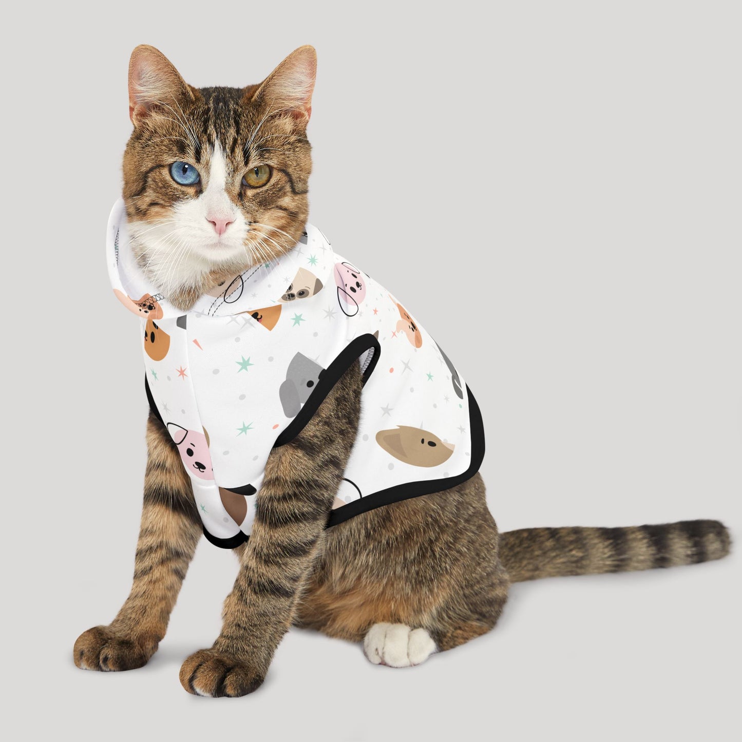 Pet Hoodie
