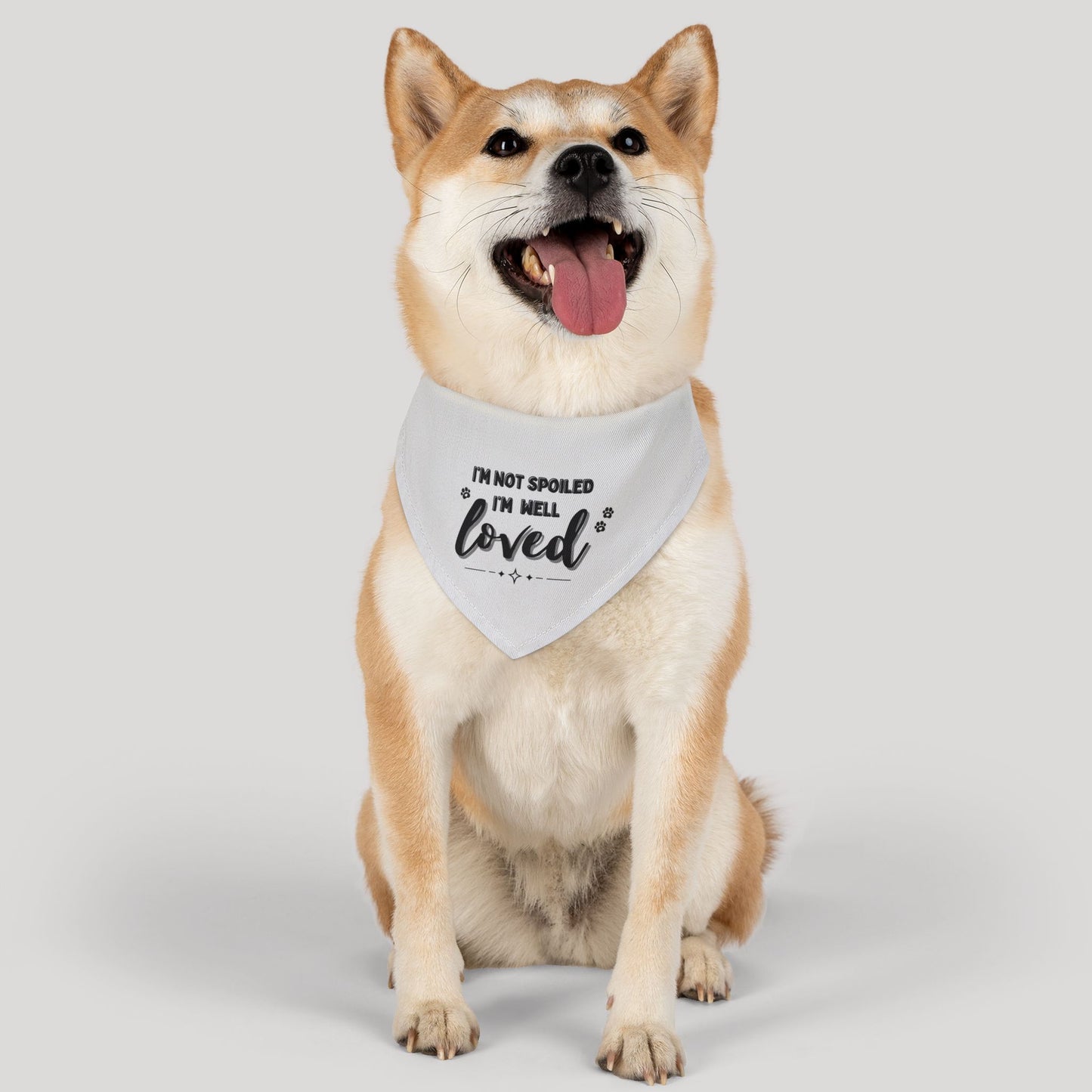 Pet Bandana Collar
