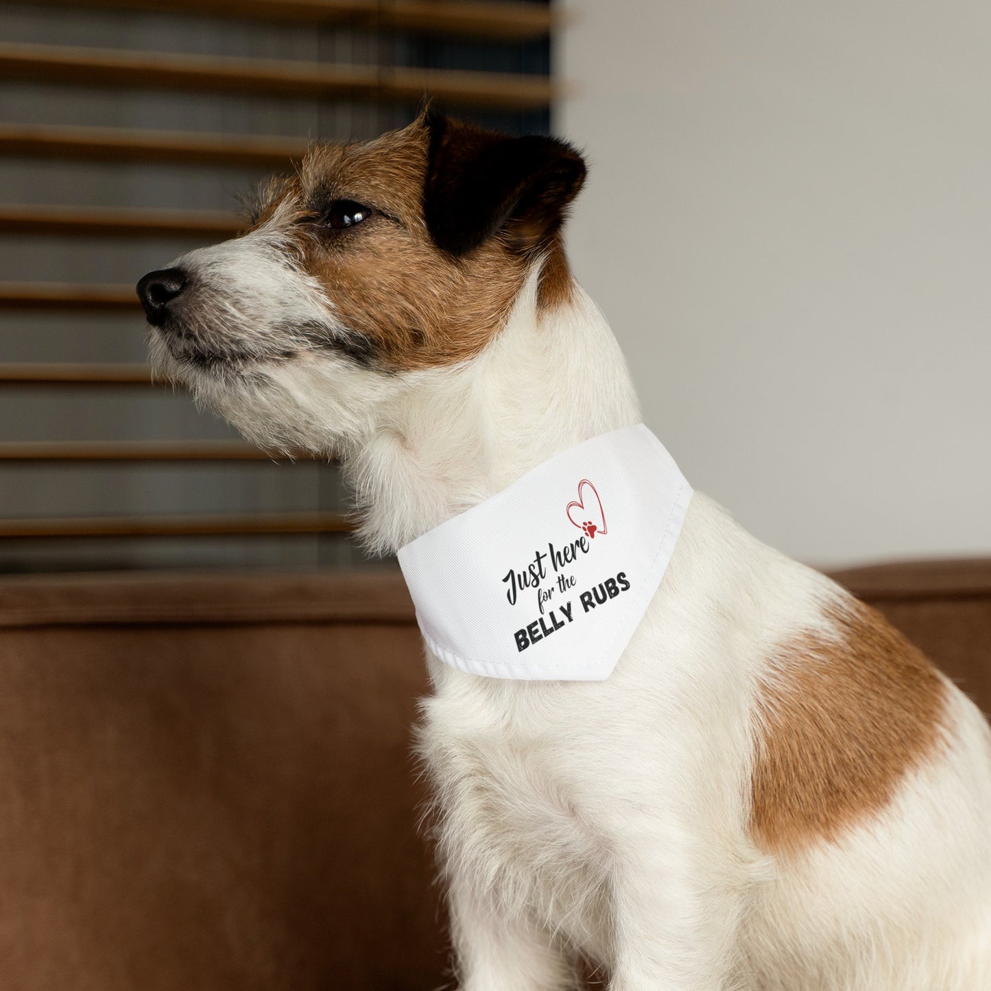 Pet Bandana