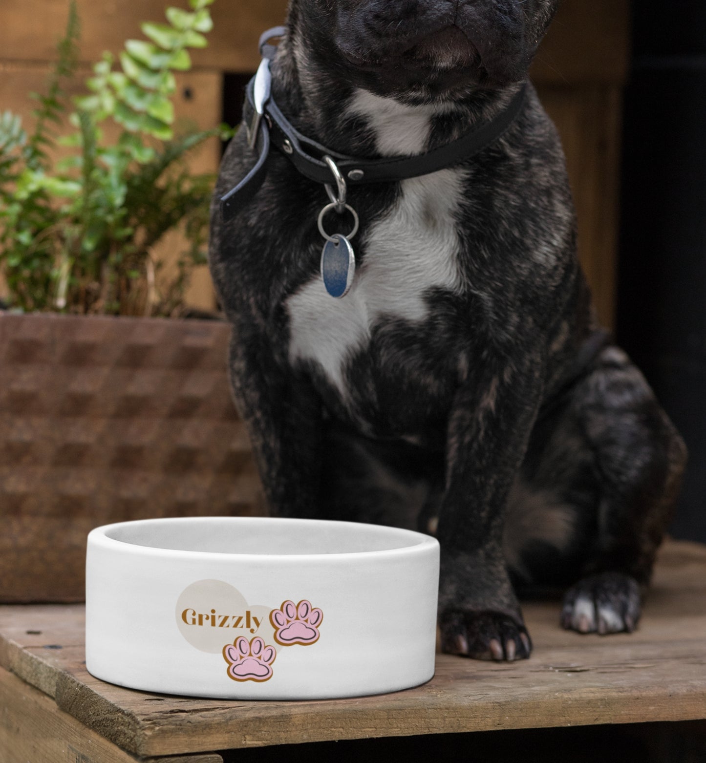 Personalized Pet Bowl