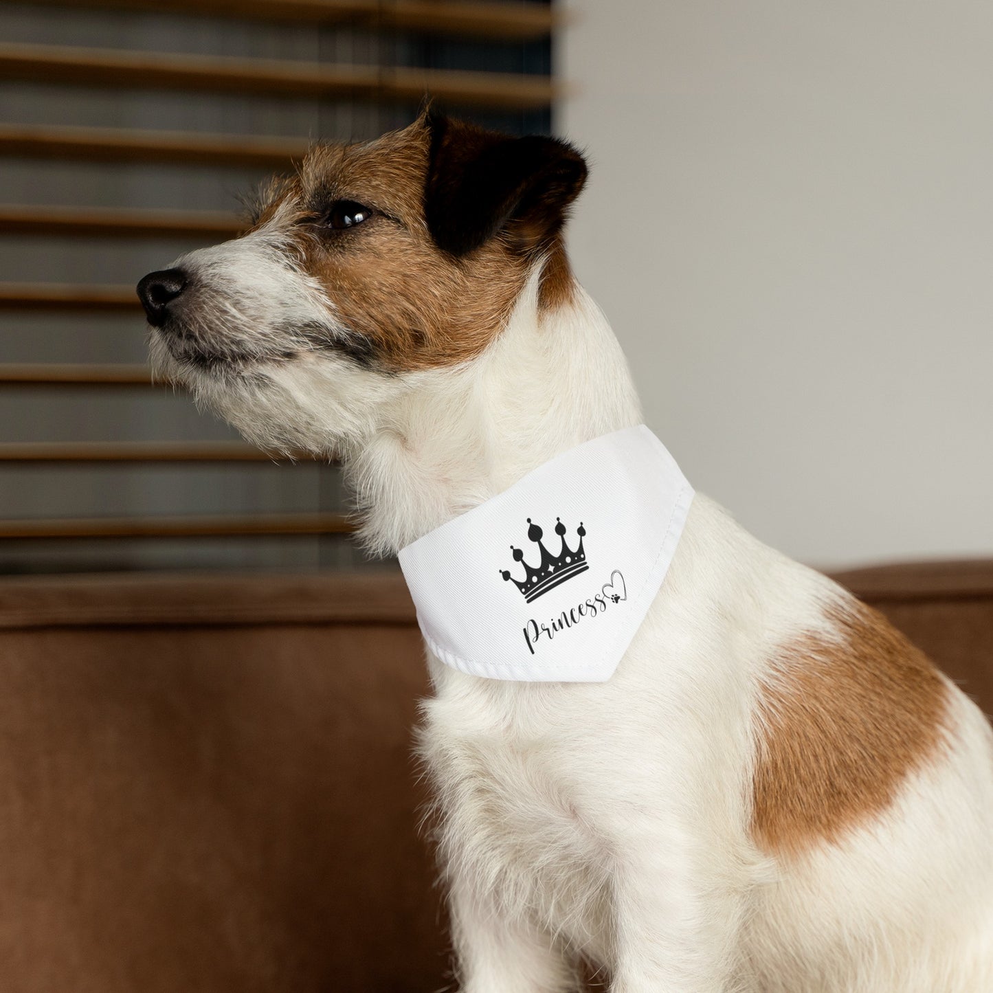 Pet Bandana