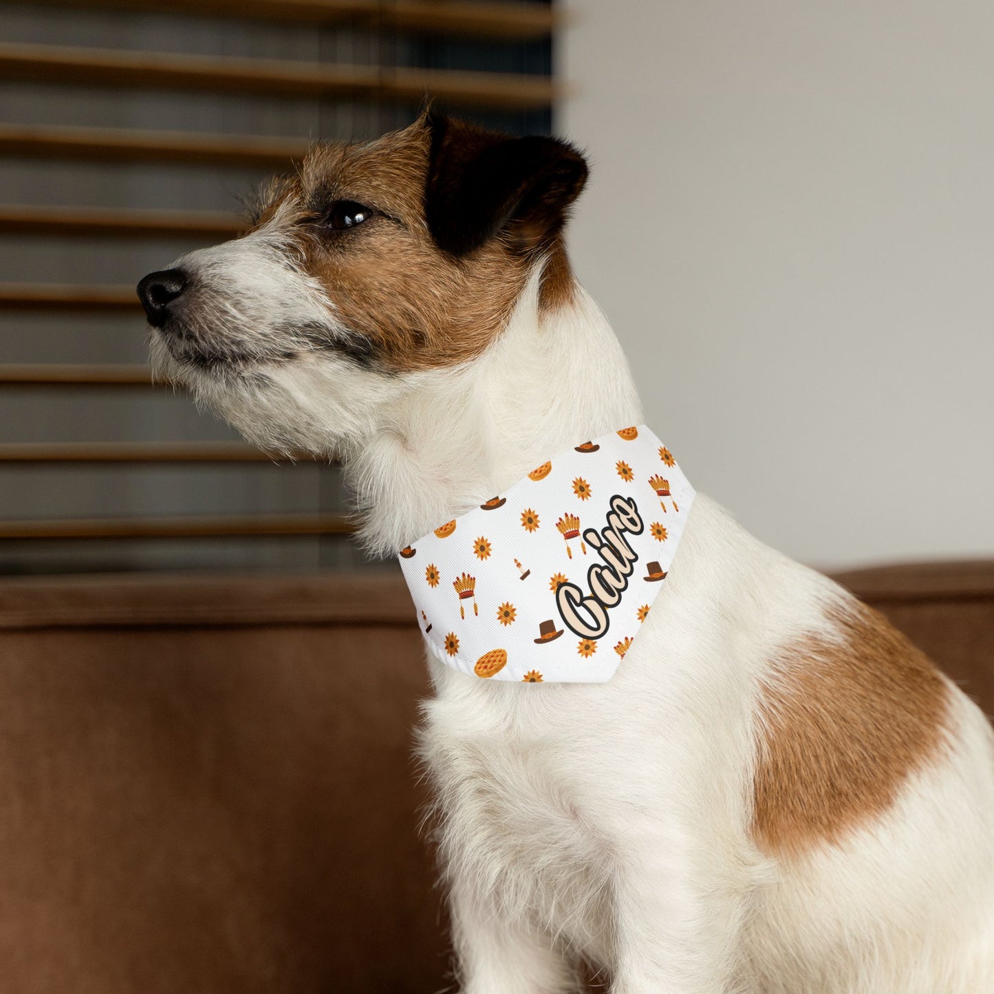 Personalized Name Thanksgiving Bandana Collar