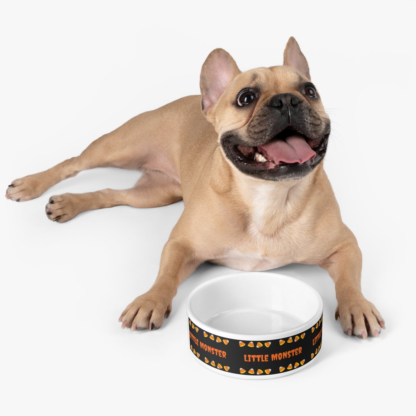 Little Monster Pet Bowl