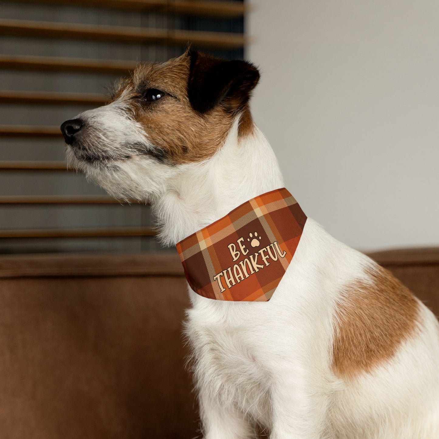 Thankful Bandana Collar