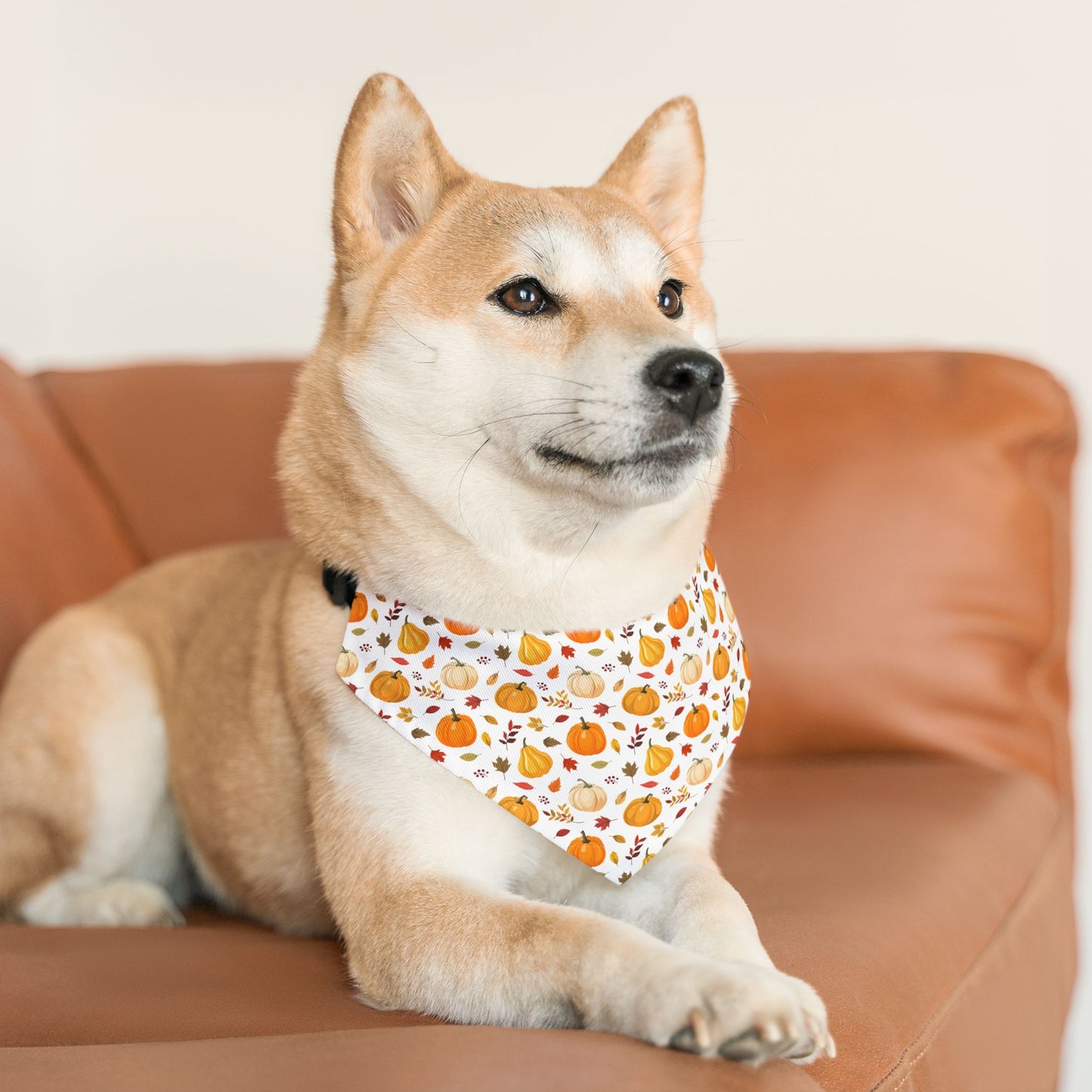 Happy Thanksviging Pet Bandana Collar