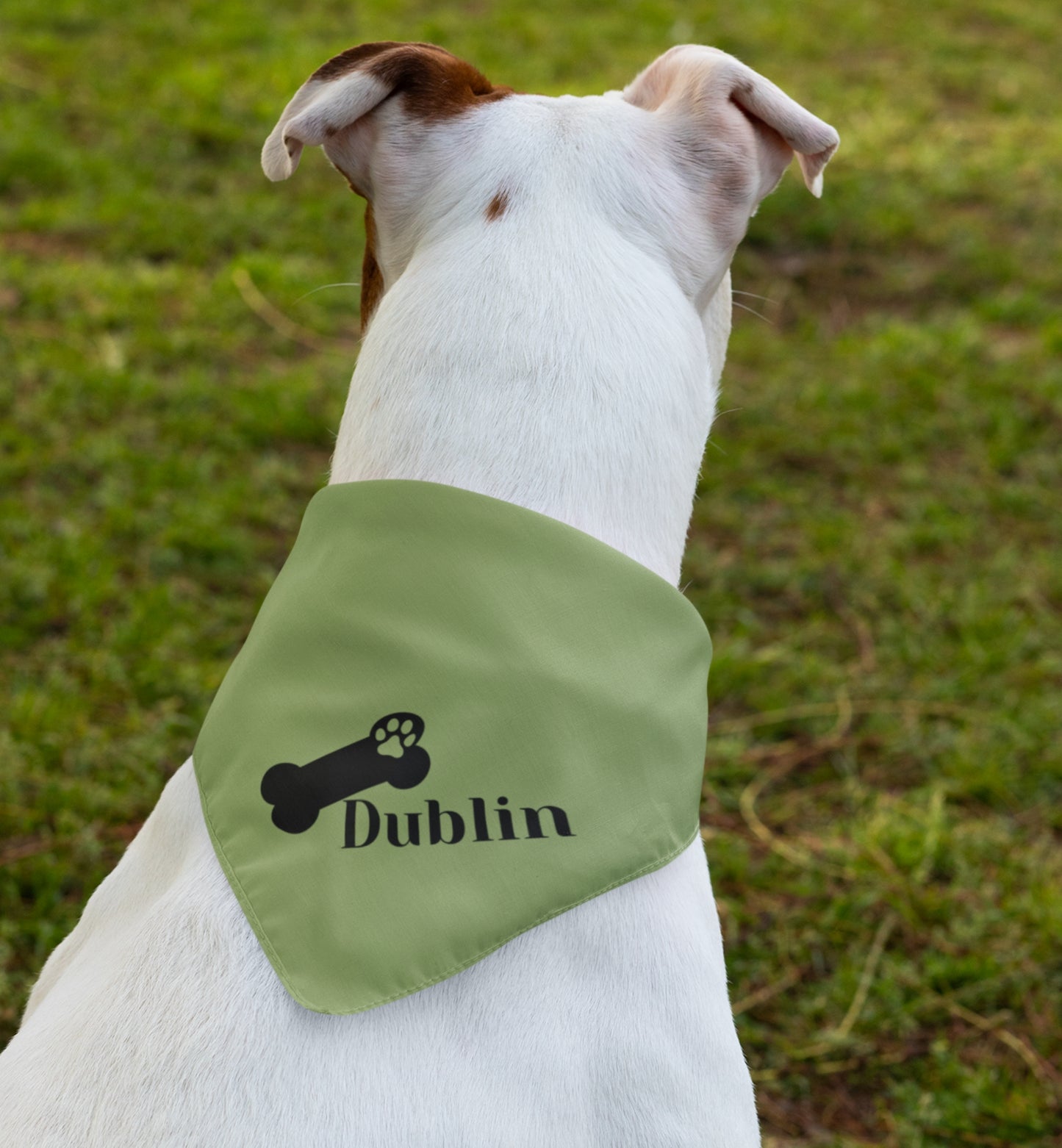 Pet Bandana Personalized