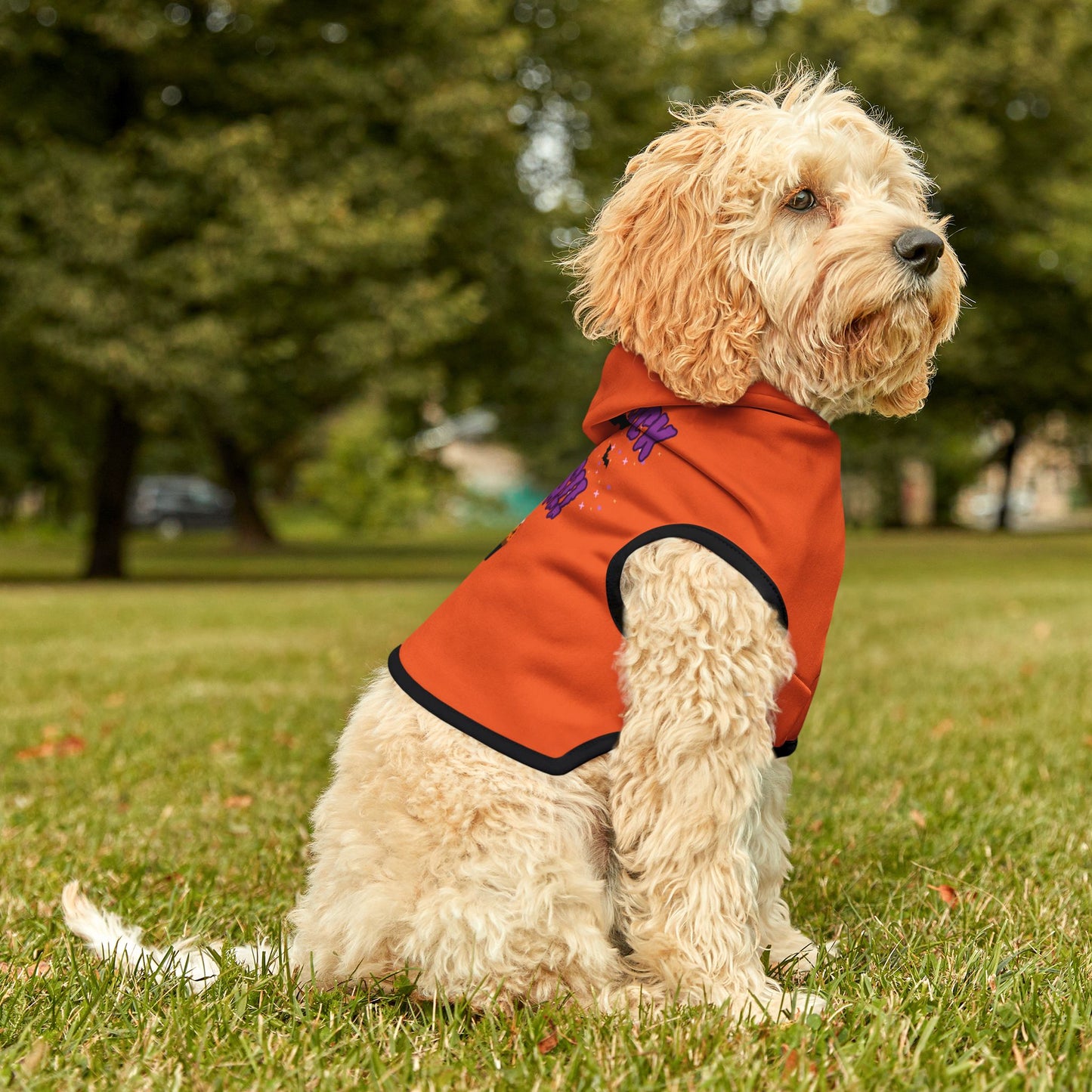 Will Trick ForTreats Pet Hoodie