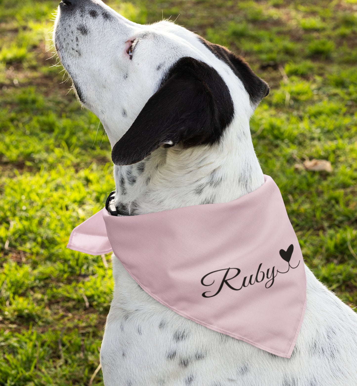 Pet Bandana Personalized