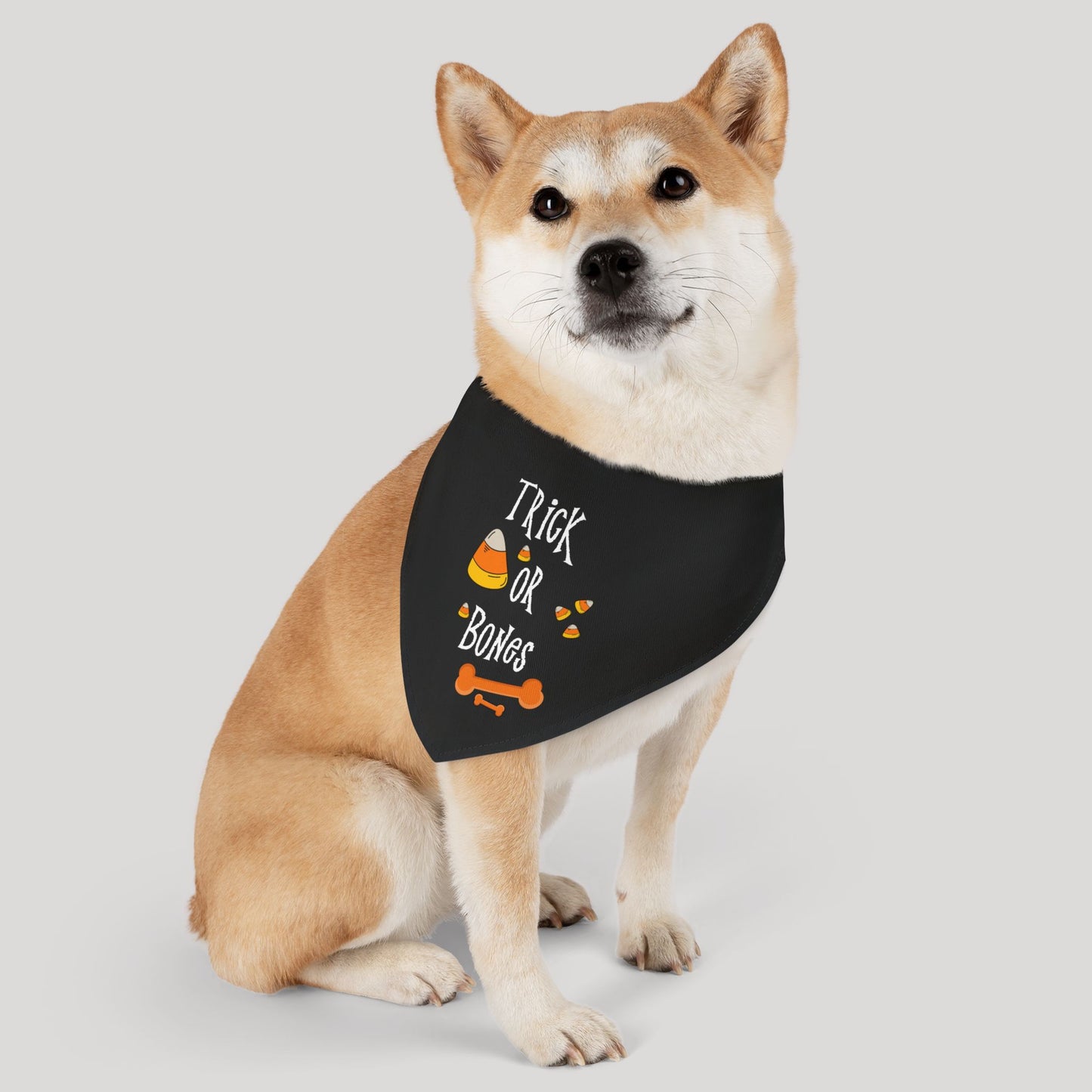 Halloween Bones Pet Bandana Collar