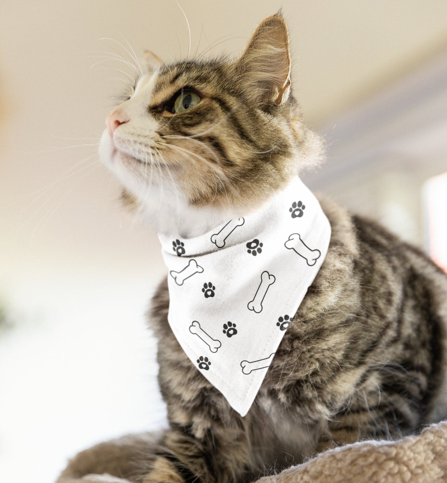 Pet Bandana Collar
