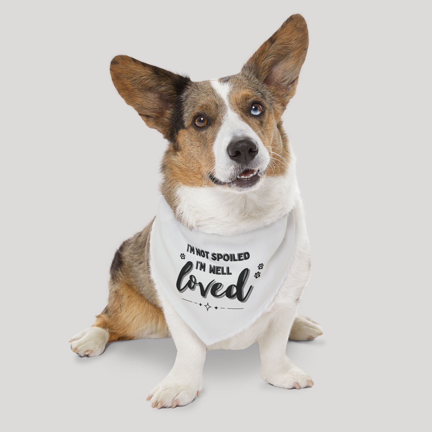 Pet Bandana Collar