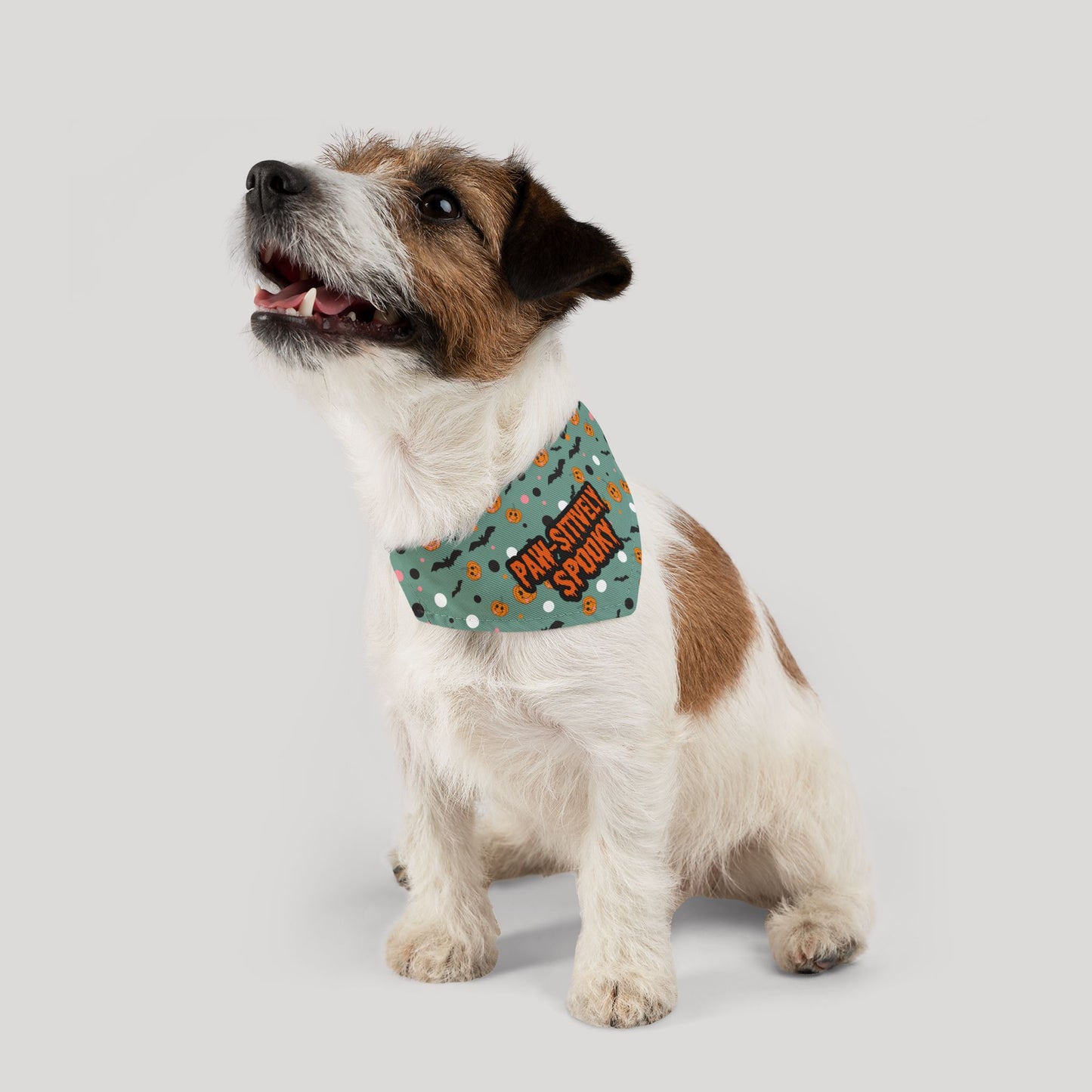 Pawsitively Spooky Bandana Collar