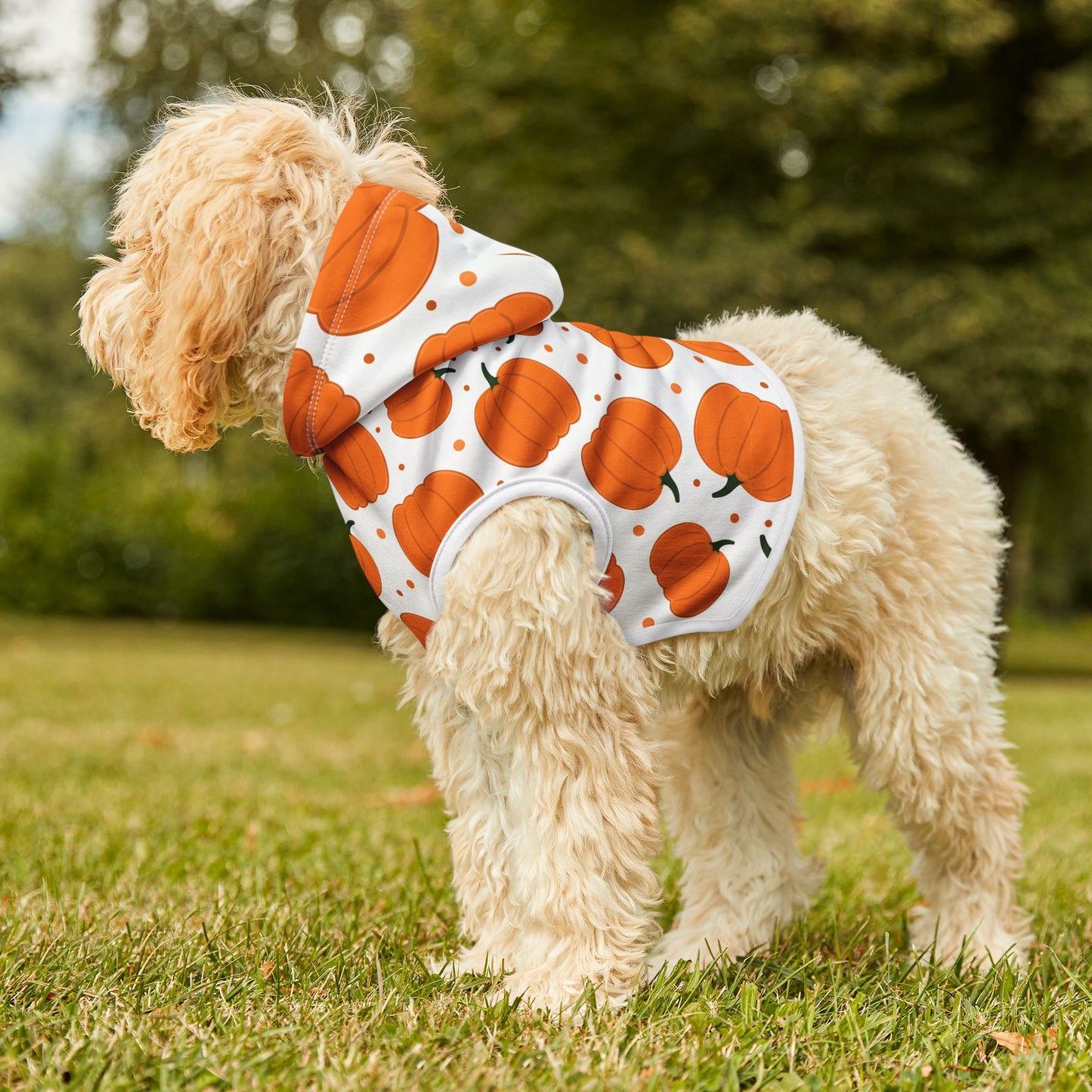 Pumpkin Pet Hoodie