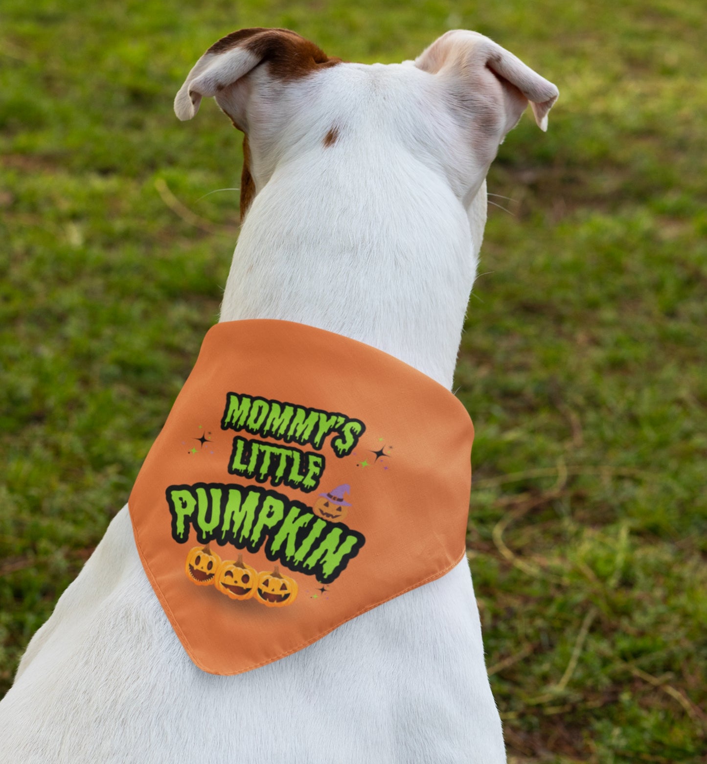 Pumpkin Bandana Collar