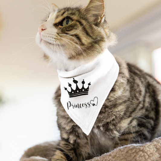 Pet Bandana
