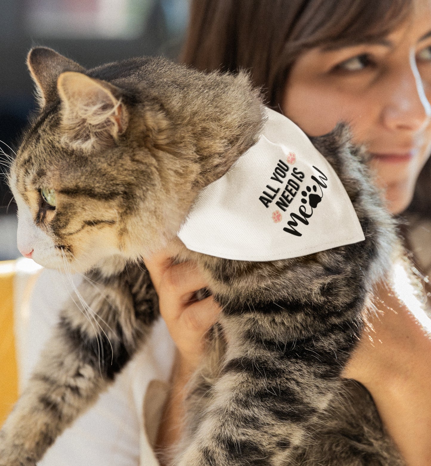 Cat Bandana Collar