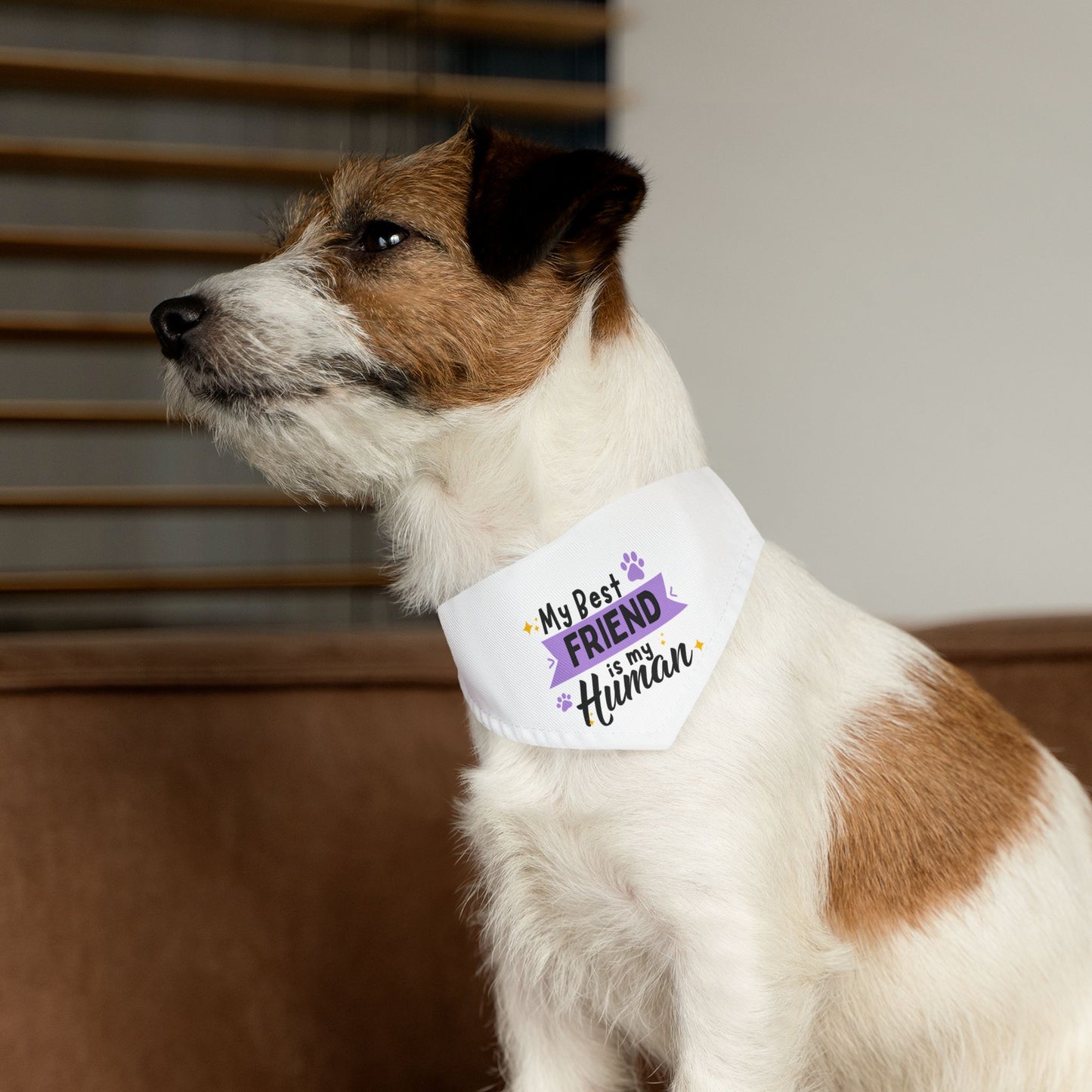 Friend Bandana Collar