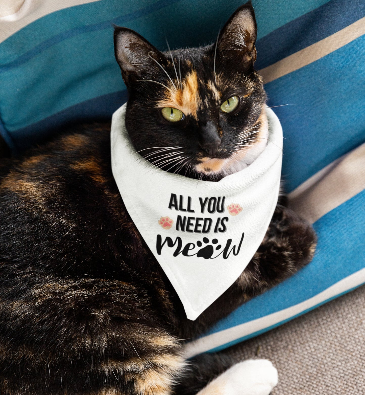 Cat Bandana Collar