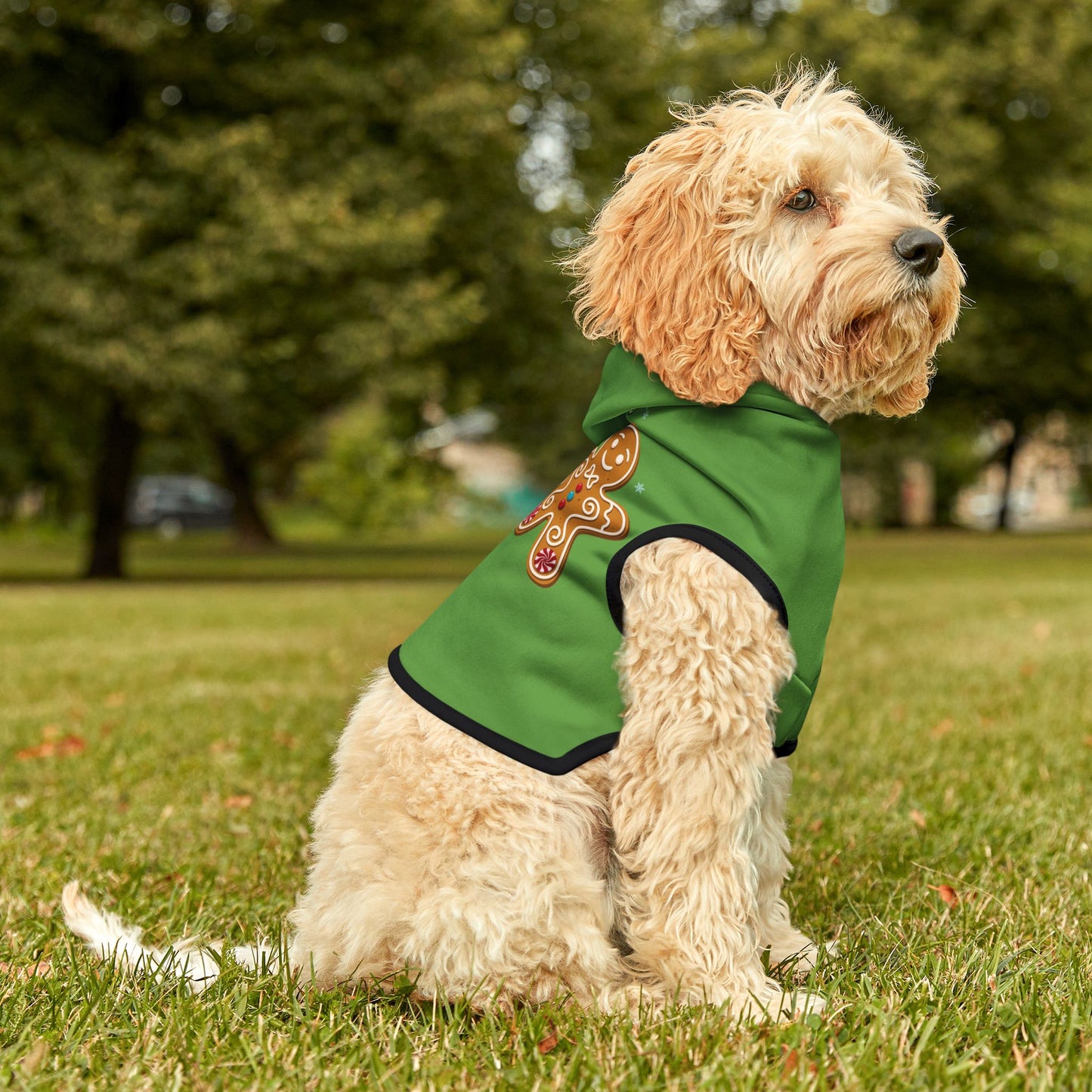 Cookie Taster Hoodie