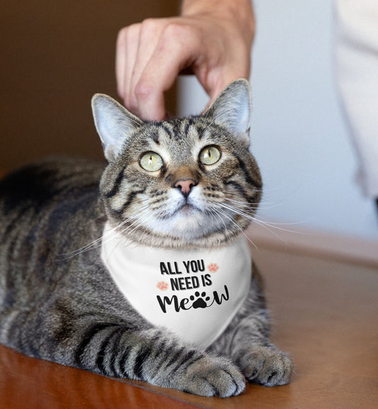 Cat Bandana Collar