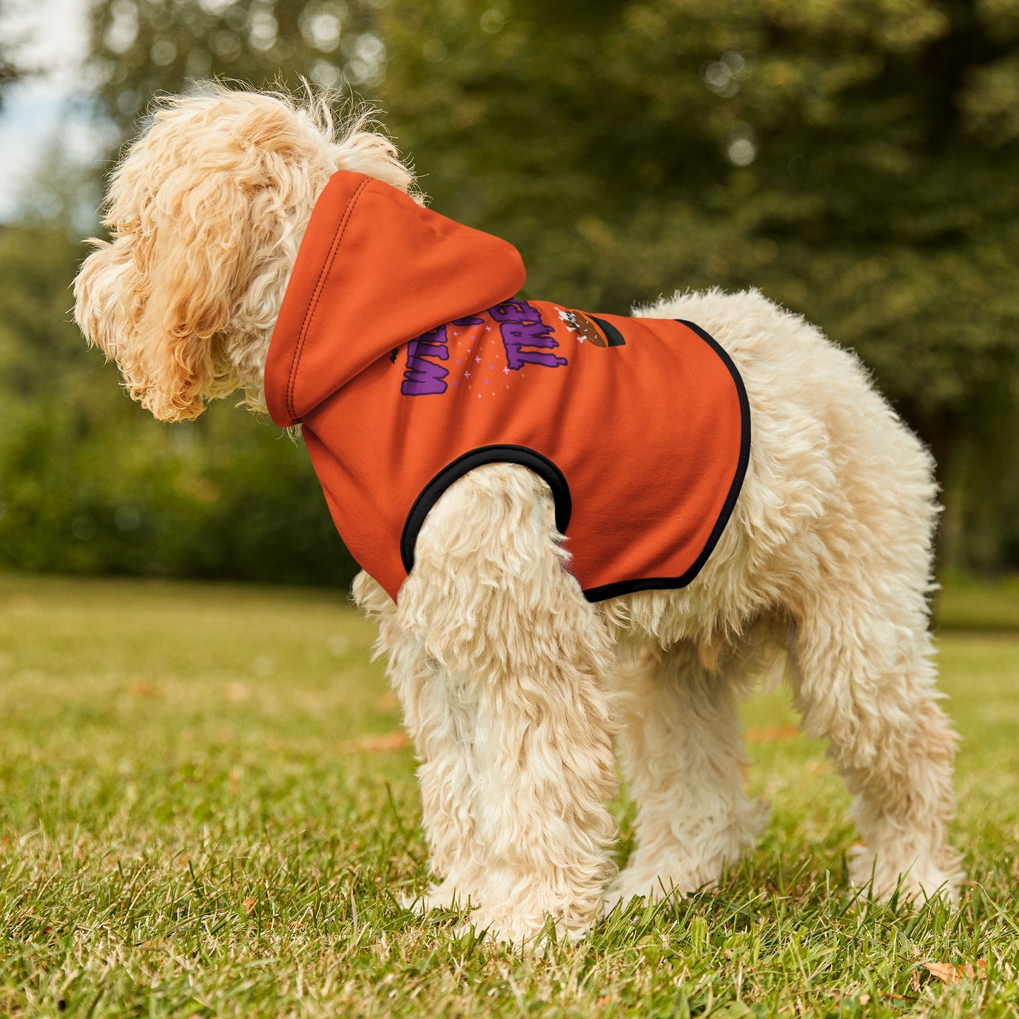 Will Trick ForTreats Pet Hoodie
