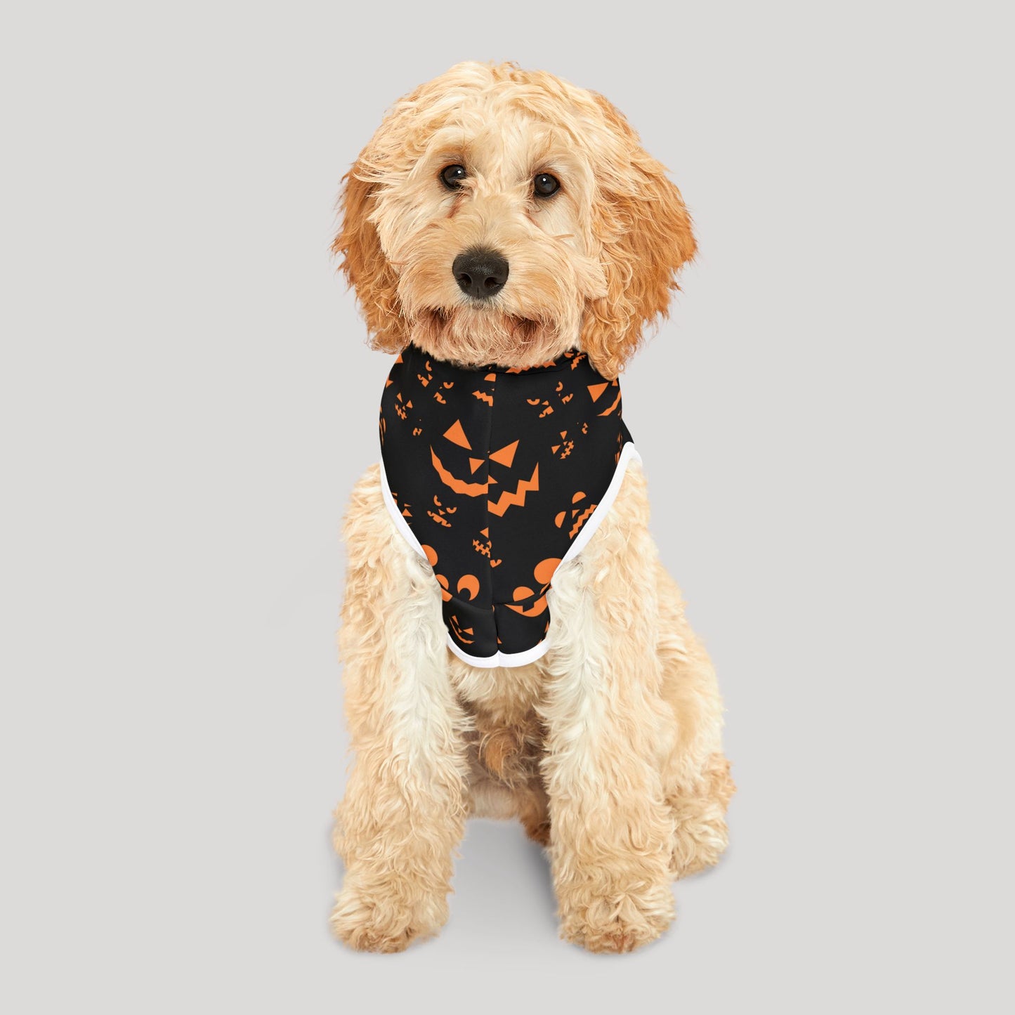 Halloween Pet Hoodie