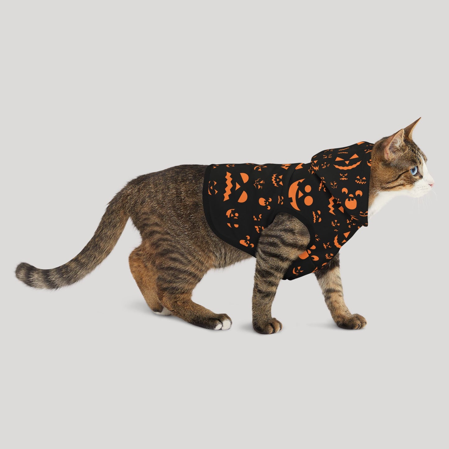 Halloween Pet Hoodie