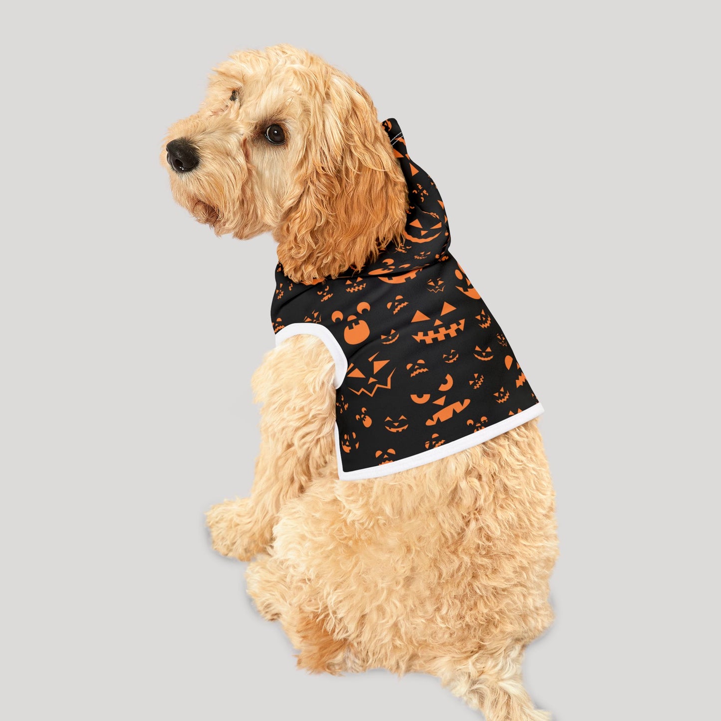 Halloween Pet Hoodie