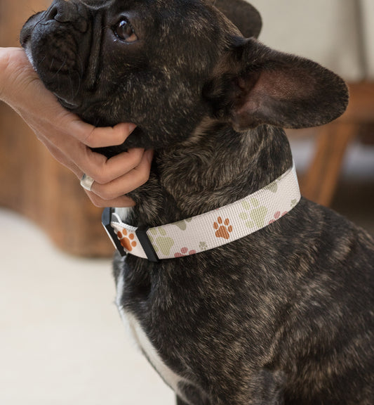Dog Collar