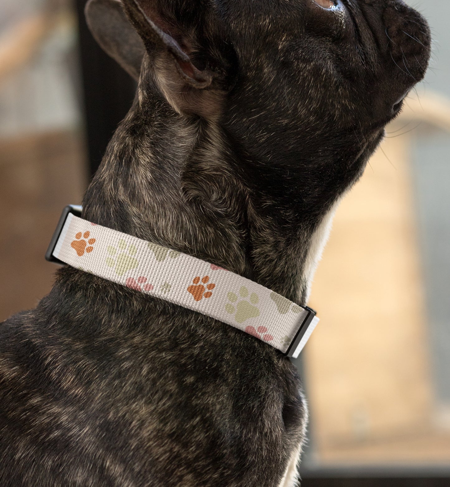Dog Collar